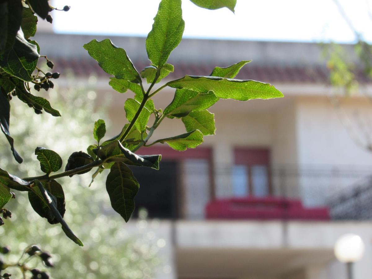 Casa Il Giovane Alloro Martina Franca Eksteriør billede